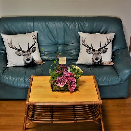 بيت شباب Deerhorn هوكوتو المظهر الخارجي الصورة